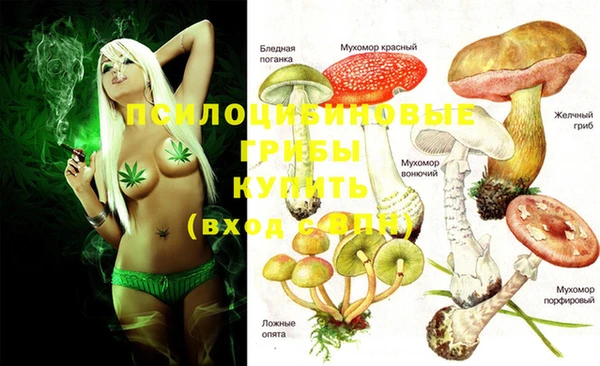 дурь Нефтекумск