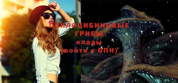 МДПВ Алексин