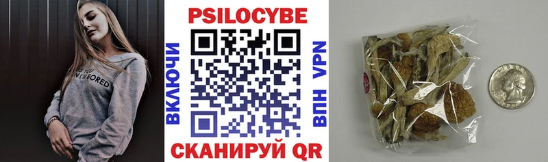Псилоцибиновые грибы прущие грибы  shop какой сайт  Черногорск 