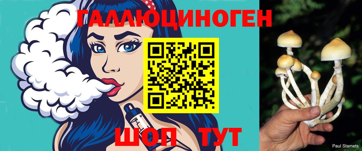 Галлюциногенные грибы мухоморы  Вход с VPN  Черногорск 